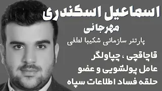 اسی پارتنر شکیبا؛ دزدان بزرگ بوشهر در چنگال سپاه
