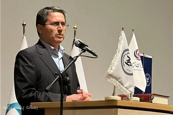 موسی بزرگ‌اصل: زیان شرکت‌های دولتی ناشی از فشارهای دولتی است