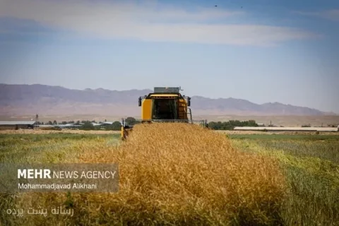 اکبر فتحی نرخ خرید تضمینی گندم را تا ۱۰ روز آینده اعلام می‌کند