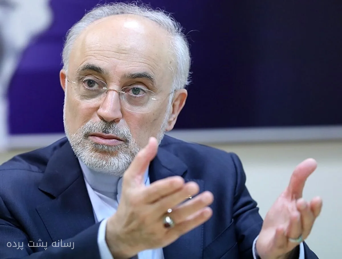 صالحی: کوروش بزرگ، نامی ماندگار در تاریخ ایران است