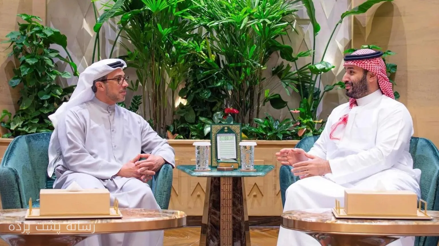 دیدار شیخ منصور بن زاید و محمد بن سلمان در عربستان