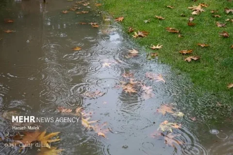 فریبا گودرزی: بارش‌ها در ایران ادامه خواهد داشت