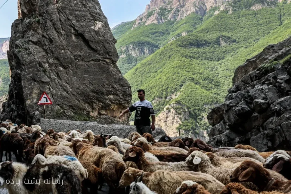 سرهنگ سیاوش محبی: جاده چالوس بازگشایی شد