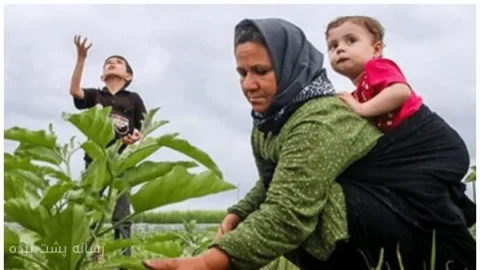 محمدابراهیم حسن‌نژاد و وام دو میلیارد دلاری برای توسعه اشتغال روستایی
