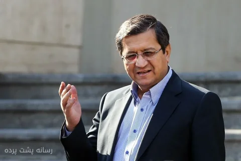 همتی: من آدم ناشی نیستم و تجربه کنترل قیمت دلار را داریم