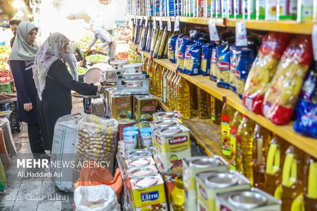 تأمین ۲۵ میلیارد دلار ارز؛ تاب‌آوری ایران در برابر گرانی