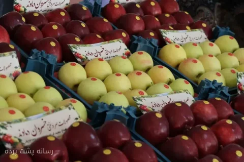 علیرضا نوری قزلجه: پیگیر کاهش ۵۰ درصدی پایه ارزی صادرات کشاورزی هستم