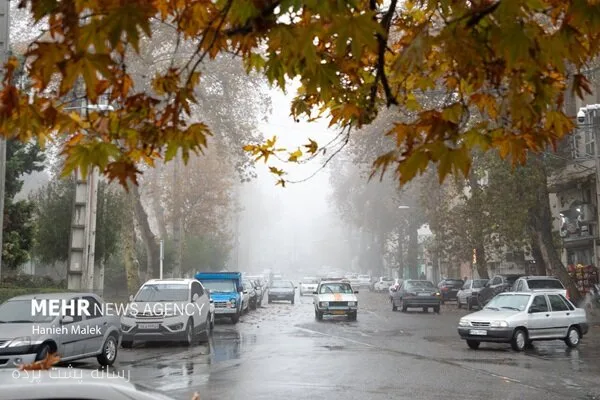 فریبا گودرزی از بارش باران در مناطق شمالی کشور خبر داد