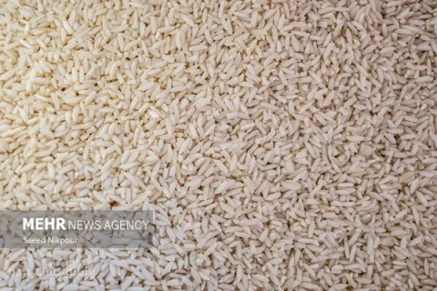 دولت ژاپن ۱۰۰ هزار تن برنج دیگر خریداری می‌کند