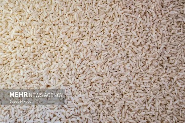 دولت ژاپن ۱۰۰ هزار تن برنج دیگر خریداری می‌کند