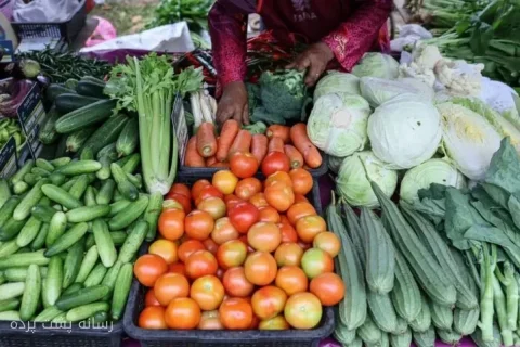 بانک جهانی هشدار داد: بحران غذایی در راه است